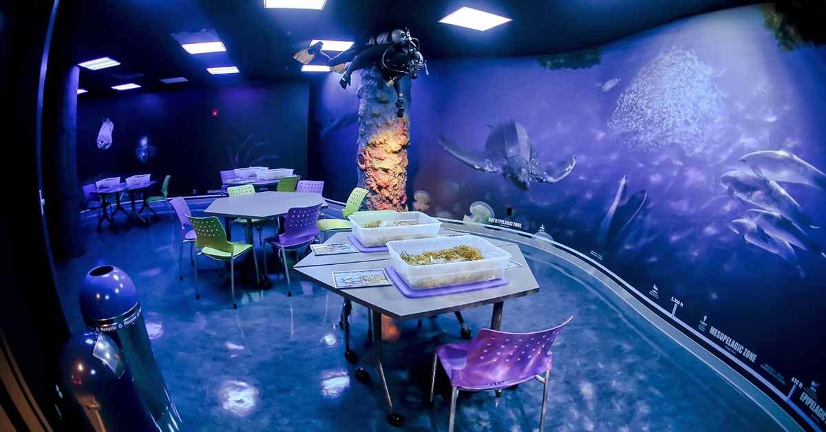 Building Interactive Immersion through Technology | Electrosonic Building Interactive Immersion through Technology | Electrosonic