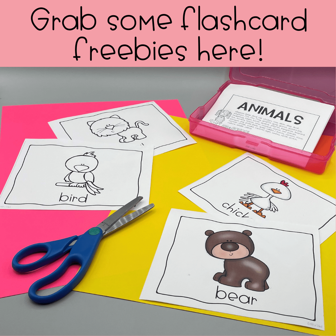 5 Fun Ways to use Flashcards for Language Learning IRL - ABA in School 5 Fun Ways to use Flashcards for Language Learning IRL - ABA in School