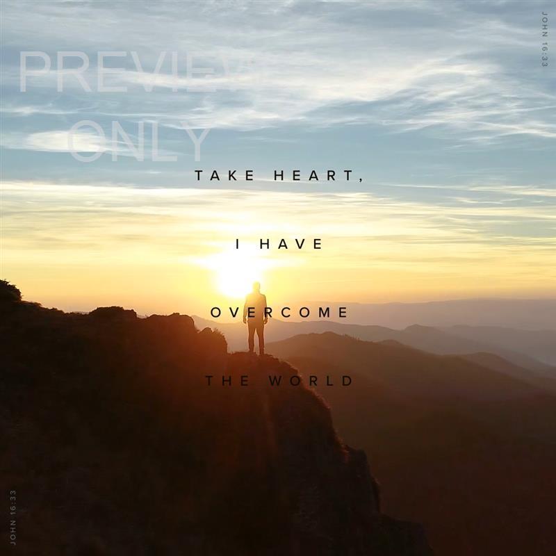 How To Leverage Your Fear For Success How To Leverage Your Fear For Success